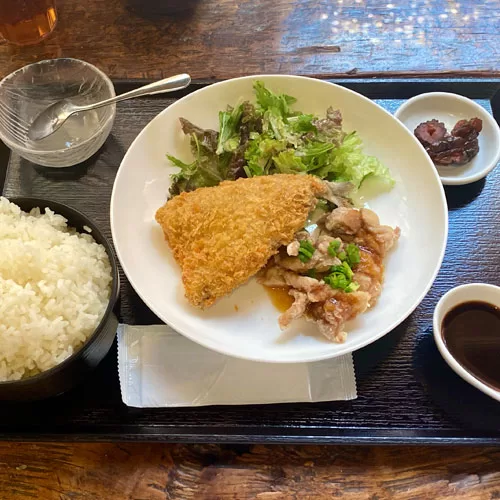 アジフライ＆揚鶏おろしソース