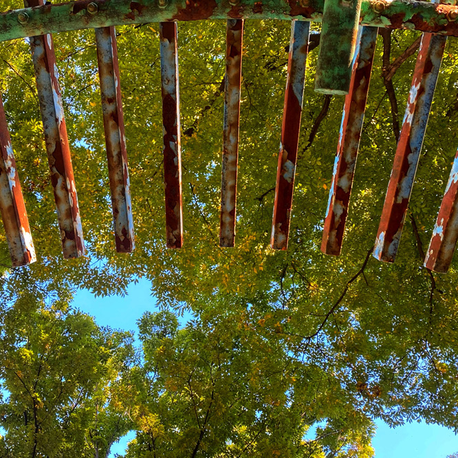 自然（2020年10月）