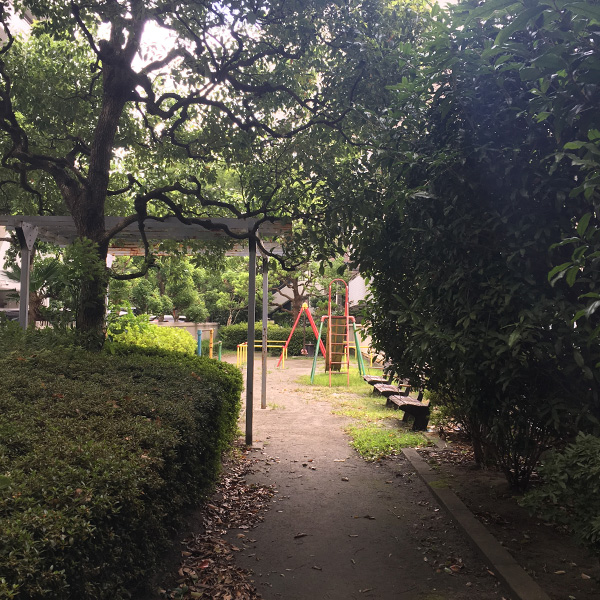 樹々（2020年10月）