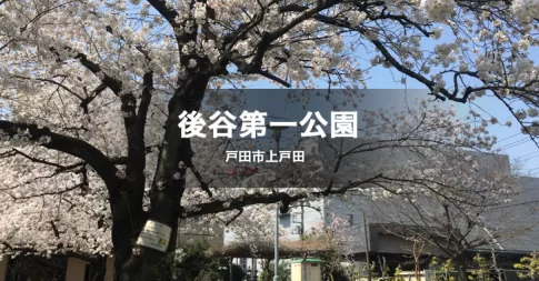 後谷第一公園は、戸田市上戸田1丁目、戸田市商工会の隣りにある静かで喉かな小さな公園です。春は桜が咲き綺麗です。