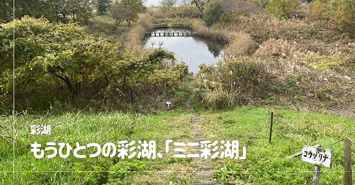 ミニ彩湖（埼玉県戸田市）