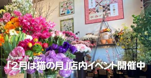 Flower the Day（戸田市笹目南町）「2月は猫の月」