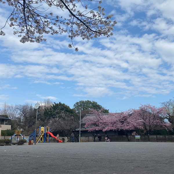 全景（2022年3月）