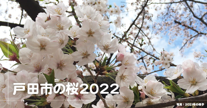戸田市の桜2022