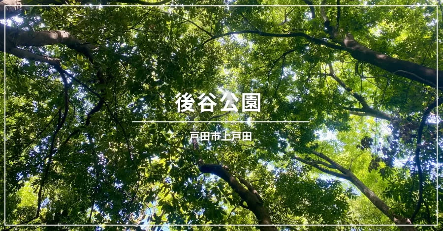戸田市の主な公園、後谷公園情報。