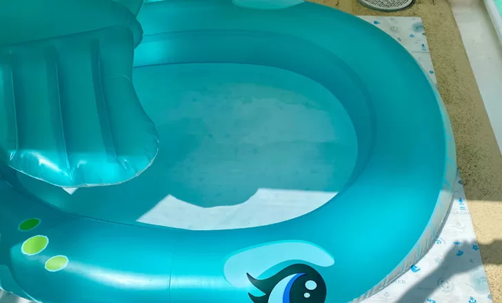 戸田市内のプール事例「東町公園」