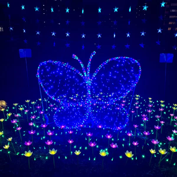 イルミネーション(2024年12月)