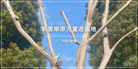 新曽柳原児童遊園地〔公園〕