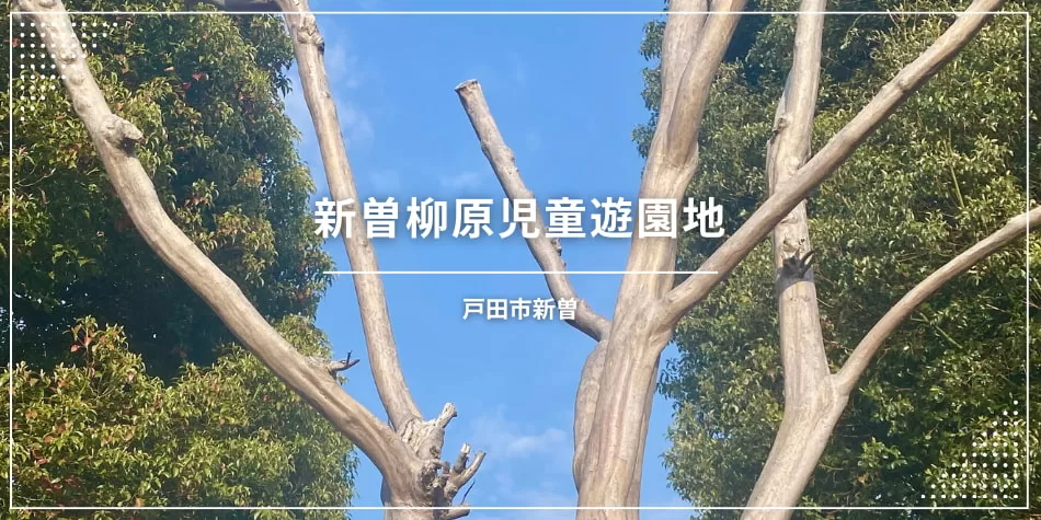 新曽柳原児童遊園地〔公園〕