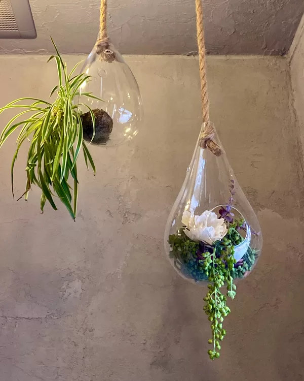 店内の装飾(2025年10月)