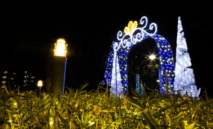 トダイルミ（戸田市後谷公園）