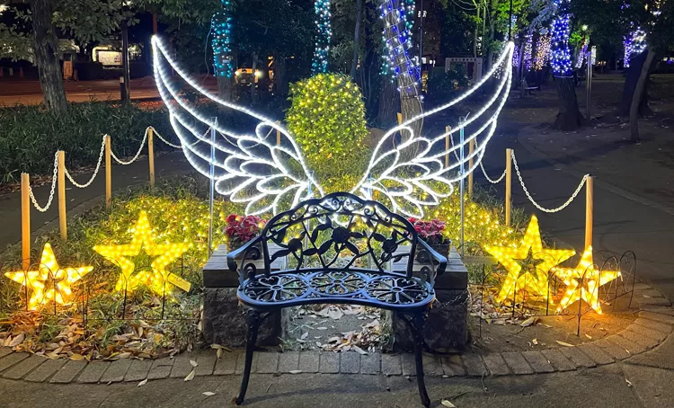 トダイルミ（戸田市後谷公園）