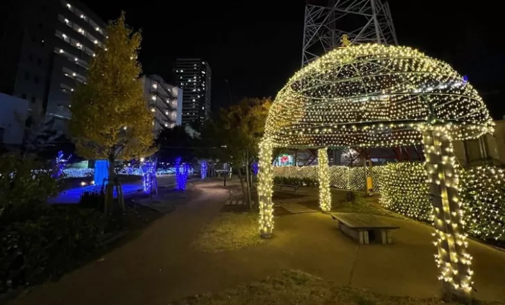 トダイルミ（北戸田・あしはら噴水公園）