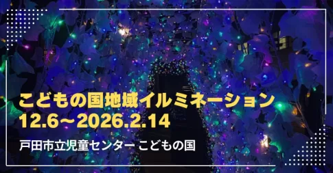 【戸田市・こどもの国】イルミネーション12月6日に点灯カウントダウン☆