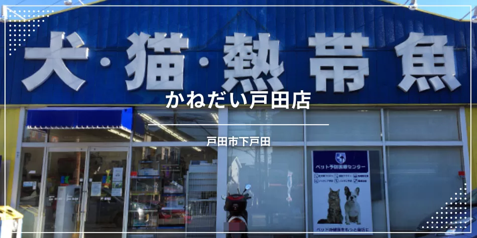 かねだい戸田店〔ペットショップ〕。熱帯魚や動物など♪