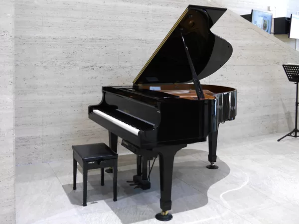 誰でもロビーコンサート